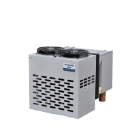 Моноблок інверторний BOYARD BYGY-010-QXD-RZDP